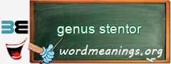 WordMeaning blackboard for genus stentor